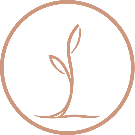 Happy Carrot Journal